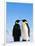 Emperor Penguins Greeting-John Conrad-Framed Photographic Print