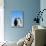 Emperor Penguins Greeting-John Conrad-Mounted Photographic Print displayed on a wall