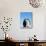 Emperor Penguins Greeting-John Conrad-Mounted Photographic Print displayed on a wall