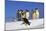 Emperor Penguins Group, One Jumping Off Ice-null-Mounted Photographic Print