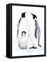Emperor Penguins II-Jacob Green-Framed Stretched Canvas