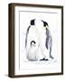 Emperor Penguins II-Jacob Green-Framed Art Print