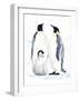 Emperor Penguins II-Jacob Green-Framed Art Print