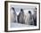 Emperor Penguins in Antarctica-Paul Souders-Framed Premium Photographic Print