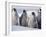Emperor Penguins in Antarctica-Paul Souders-Framed Premium Photographic Print