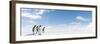 Emperor Penguins In Antarctica-Jan Martin Will-Framed Premium Photographic Print