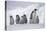 Emperor Penguins in Antarctica-null-Stretched Canvas