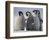 Emperor Penguins in Antarctica-Paul Souders-Framed Photographic Print