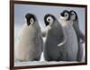 Emperor Penguins in Antarctica-Paul Souders-Framed Photographic Print