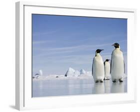 Emperor Penguins in Antarctica-Paul Souders-Framed Photographic Print