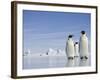 Emperor Penguins in Antarctica-Paul Souders-Framed Photographic Print