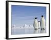 Emperor Penguins in Antarctica-Paul Souders-Framed Photographic Print