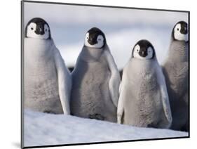 Emperor Penguins in Antarctica-Paul Souders-Mounted Photographic Print