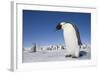 Emperor Penguins in Antarctica-null-Framed Photographic Print