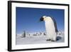 Emperor Penguins in Antarctica-null-Framed Photographic Print