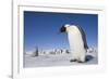 Emperor Penguins in Antarctica-null-Framed Photographic Print