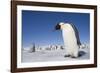 Emperor Penguins in Antarctica-null-Framed Photographic Print