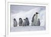 Emperor Penguins in Antarctica-null-Framed Photographic Print