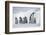 Emperor Penguins in Antarctica-null-Framed Photographic Print