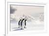 Emperor Penguins In Antarctica-Jan Martin Will-Framed Photographic Print