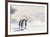 Emperor Penguins In Antarctica-Jan Martin Will-Framed Photographic Print