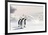 Emperor Penguins In Antarctica-Jan Martin Will-Framed Photographic Print