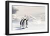 Emperor Penguins In Antarctica-Jan Martin Will-Framed Photographic Print