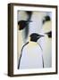 Emperor Penguins in the Snow-DLILLC-Framed Photographic Print