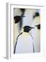 Emperor Penguins in the Snow-DLILLC-Framed Photographic Print