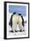 Emperor Penguins Pair-null-Framed Photographic Print