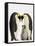 Emperor Penguins Protecting Chick-John Conrad-Framed Stretched Canvas