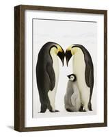 Emperor Penguins Protecting Chick-John Conrad-Framed Photographic Print