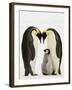 Emperor Penguins Protecting Chick-John Conrad-Framed Photographic Print