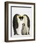 Emperor Penguins Protecting Chick-John Conrad-Framed Photographic Print