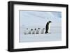 Emperor Penguins with Chick-vladsilver-Framed Photographic Print