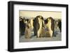 Emperor Penguins with Chicks-DLILLC-Framed Photographic Print