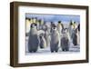 Emperor Penguins with Wings Outstretched-DLILLC-Framed Photographic Print