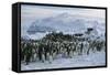 Emperor Penguins-Doug Allan-Framed Stretched Canvas