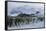 Emperor Penguins-Doug Allan-Framed Stretched Canvas