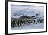 Emperor Penguins-Doug Allan-Framed Premium Photographic Print