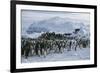 Emperor Penguins-Doug Allan-Framed Photographic Print