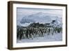 Emperor Penguins-Doug Allan-Framed Photographic Print