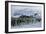 Emperor Penguins-Doug Allan-Framed Photographic Print