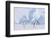 Emperor Penguins-DLILLC-Framed Photographic Print