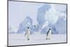 Emperor Penguins-DLILLC-Mounted Photographic Print