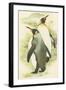 Emperor Penguins-null-Framed Art Print