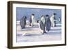 Emperor Penguins-G Marston-Framed Art Print