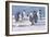 Emperor Penguins-G Marston-Framed Art Print