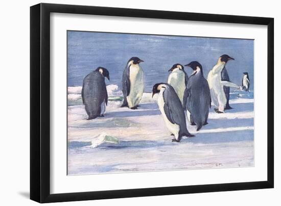 Emperor Penguins-G Marston-Framed Art Print