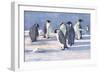 Emperor Penguins-G Marston-Framed Art Print